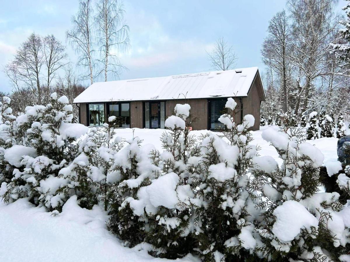 Paerli Puhkemaja / Pearl Riverside House Pudisoo Eksteriør bilde